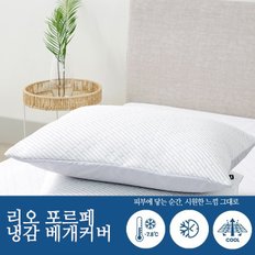 [시원한 기능성 냉감 추천] 리오포르페 여름 냉감 홑겹베개커버 F [냉감 할인중]