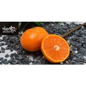 [산지직송]제주 달콤 카라향 1.5kg/중소과(개당100~150g)