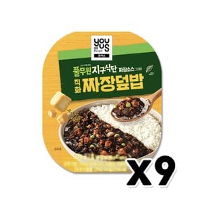 풀무원 지구식단 짜장덮밥 즉석간편식 320g x 9개