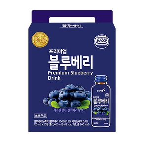 [영진] 프리미엄블루베리 선물용 120ml*20병
