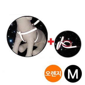 생활모음 M 반사 X밴드 세트 강아지 가슴줄 오렌지