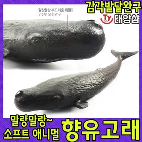 소프트 애니멀/향유고래/감각발달 완구/고래 장난감/반디