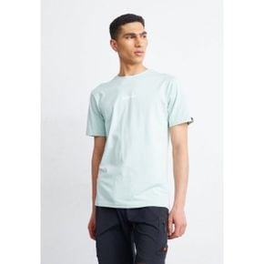 4510093 Ellesse OLLIO TEE - Basic T-shirt light green