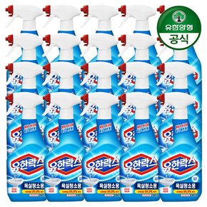 유한락스 욕실청소용 500ml+500ml x 10개