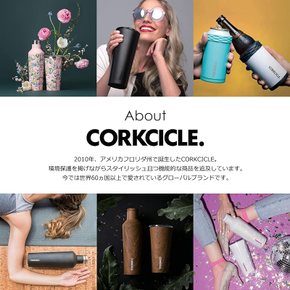 CORKCICLE 일본 판매품 스텐레스 텀블러 진공 단열 뚜껑 포함 300ml T