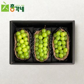 [총각네] 명품 샤인머스캣 선물세트 2호 2kg 3송이