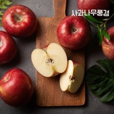 한입 꼬마 햇 사과 1.9KG(14~16과)