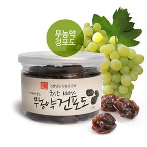 씨째먹는 국산 무농약 건포도 130g