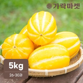 아삭달콤 성주 꿀참외 5kg (26-30과)