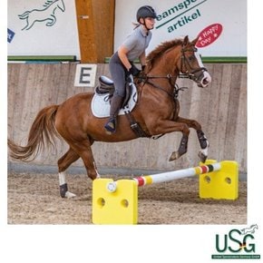 [USG] Agility Cavaletti 점핑블럭