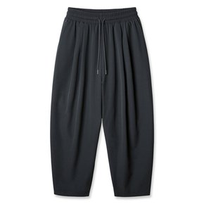 [DELUXE] 앨빈클로 데일리 와이드 밴딩 팬츠 DLX2903 (2 COLOR)
