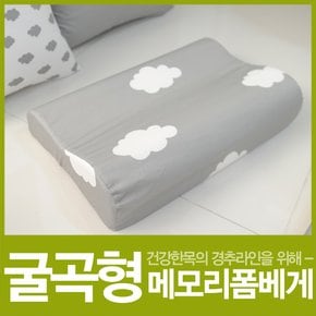 메모리폼 베개 오리지널 굴곡형 M