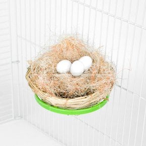 앵무새 칼라 플라스틱 둥지걸이 받침대 거치대 용품