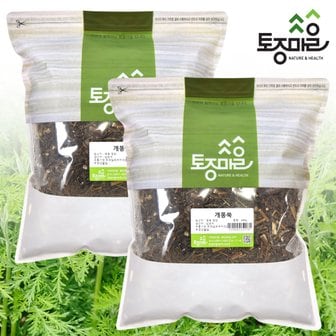 토종마을 국산 개똥쑥 600g X 2개