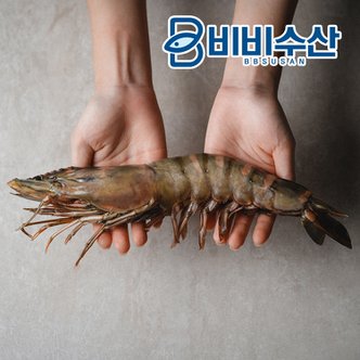 비비수산 프리미엄 킹타이거새우 1미 32cm(230-289g) 킹블랙타이거새우