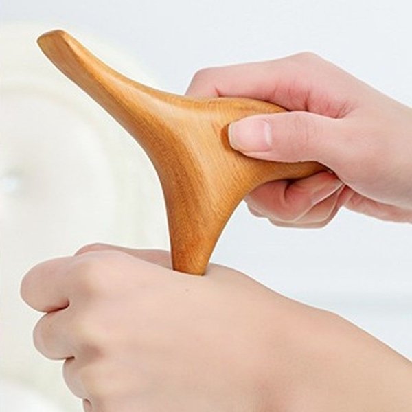 확대된 대표 image1