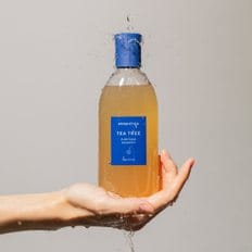 티트리 퓨리파잉 샴푸 400ml