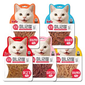 더캣츠 미니리얼 70g 고양이간식