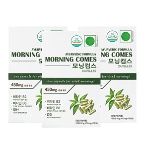 비타민B & 엽산 450mgX30정