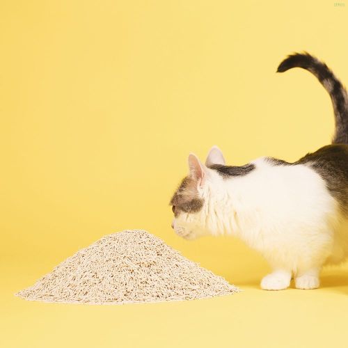 이미지2