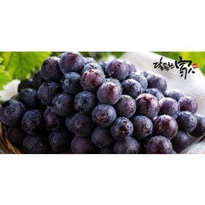 산지직송 김천 캠벨포도 1kg/2-4송이