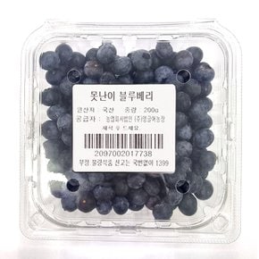 못난이 블루베리 200g(팩)