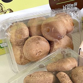 백암면 남가네 표고버섯 400g(동고)