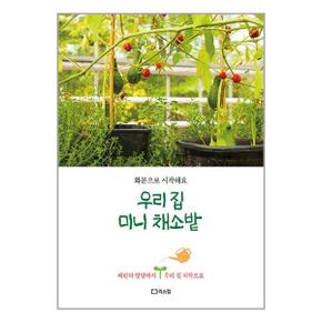 우리 집 미니 채소밭  리스컴 _P339954641