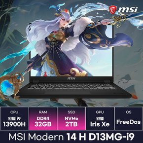 MSI 모던14 H D13MG-i9 인텔 i9 13세대 2024 최신모델 PD충전 초경량노트북 (32GB/2TB) / ICDI