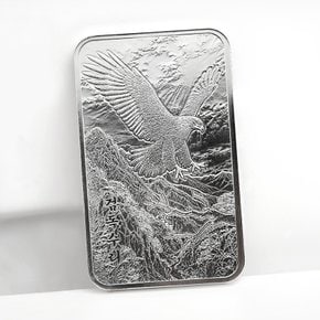 실버바 100g 검독수리