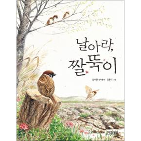 날아라 짤뚝이 (사계절 저학년문고 11)