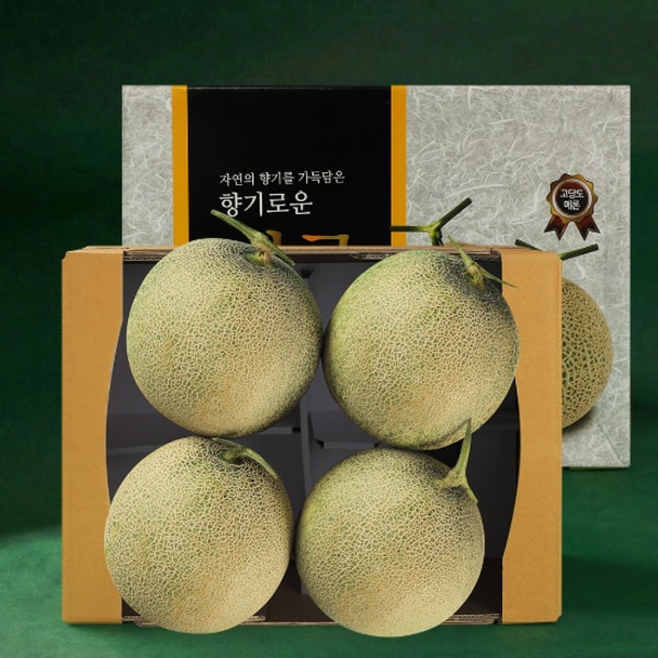 확대된 대표 이미지 P