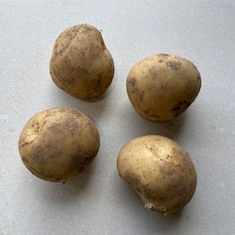 햇살조은 24년 수확 국내산 햇 수미 감자 3kg