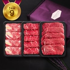 [9/22(월)부터 순차출고/산지직송/냉장] 한우  1++등급 9 프리미엄 선물세트 S11호 900g (등심.안심.채끝 각300g)