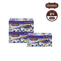 트루 블루베리 20티백 3box (60티백)