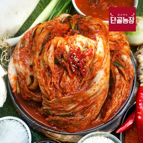 단골농장 국내산 전라도 비법양념 배추김치 포기김치 5kg