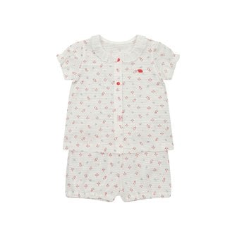 타티네쇼콜라 GH로아내의