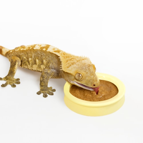 추가3이미지