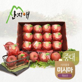 씻어나온 꿀사과 3kg 1box (중대과) / 청송산 미시마, 당도선별