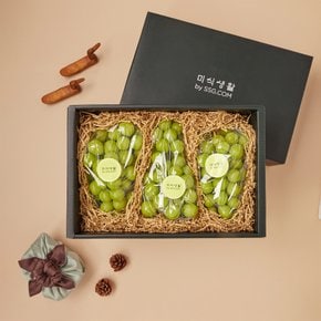 SSG 프리미엄 이대훈명인 샤인머스켓 2.1kg