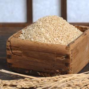 마을기업싸리재 맛있는 현미 쌀 [ 유기농 현미 멥쌀 4kg ] 일반현미