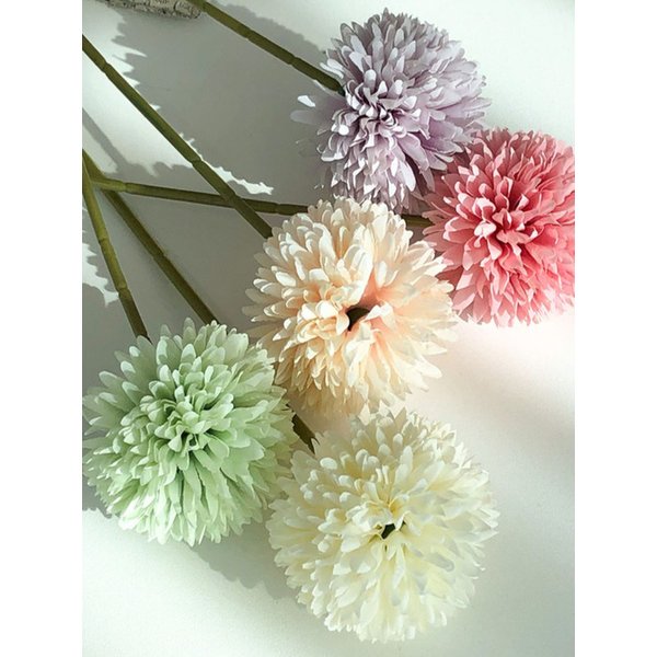 파스텔 퐁퐁 조화