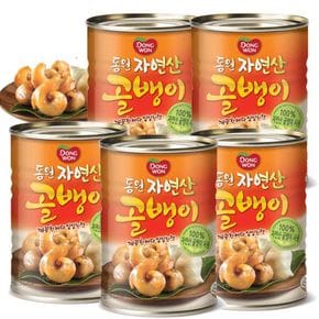 [N]동원 자연산 골뱅이 300g x 5캔[33008103]