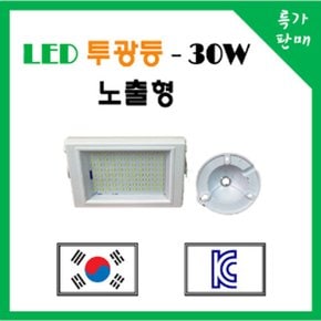 LED 투광등 30W 단품