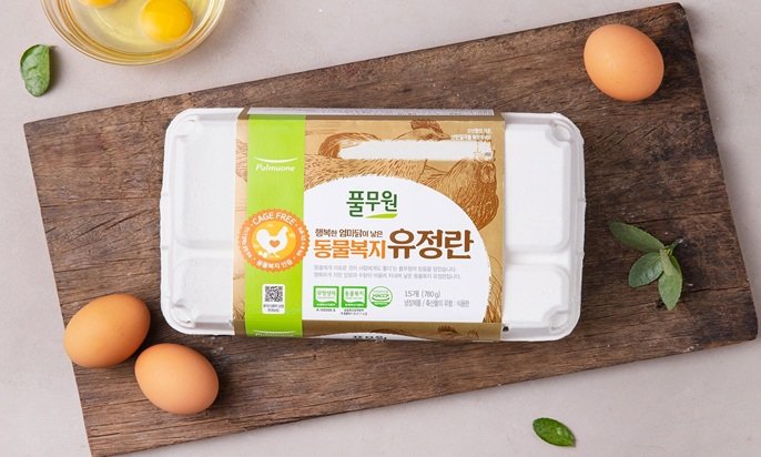 풀무원 장바구니 필수템 계란/두부외 모음