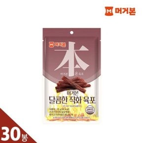 달콤한 직화육포 25g*30봉