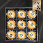 [1월13일부터순차출고][천상지愛]프리미엄 과일 선물세트[天] 배 9과[4.5KG]