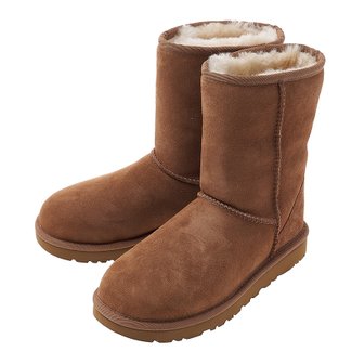 UGG [어그] 여성 클래식 쇼츠 부츠 1016223 CHESTNUT