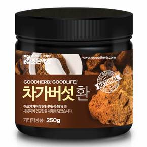 차가버섯환 250g