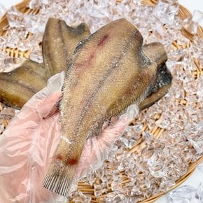 국내산 반건조 두절 참가자미 3미 x 2팩